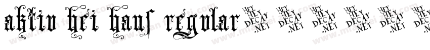 aktiv hei hans regular字体转换